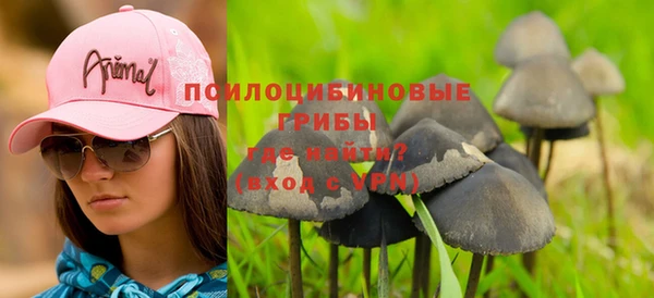 твердый Баксан