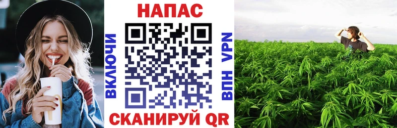 Купить  Дивногорск  Канабис сатива 